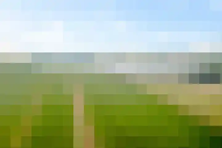 Wielwei 13 Doniaga thumbnail 54