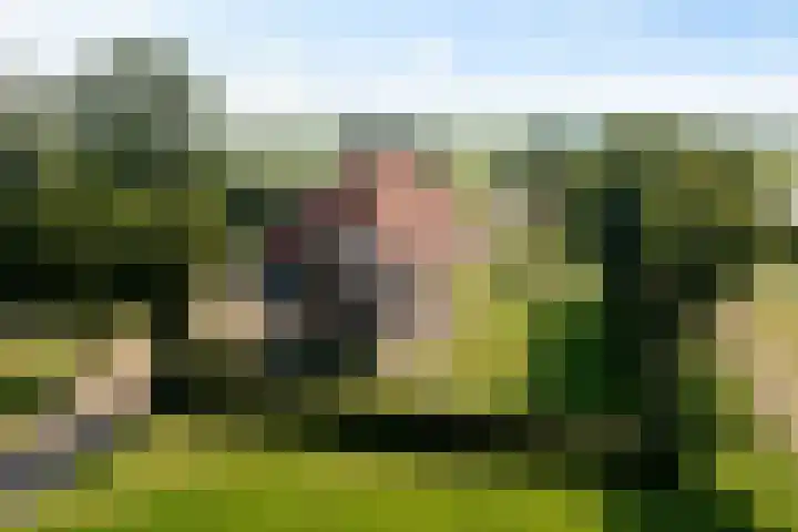Wielwei 13 Doniaga thumbnail 55
