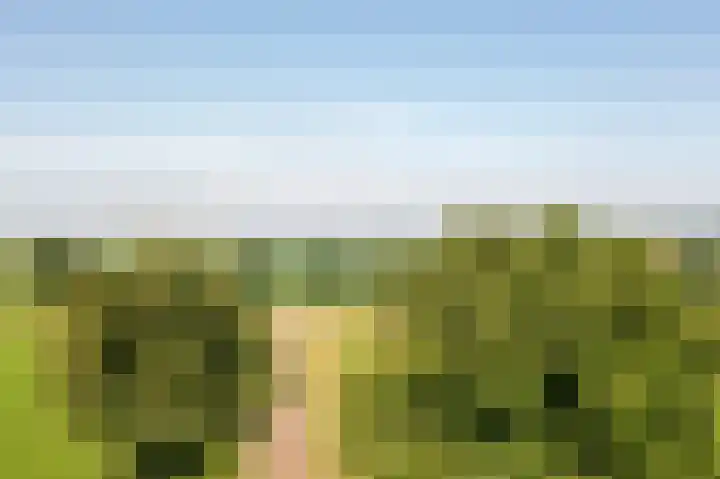 Wielwei 13 Doniaga thumbnail 56