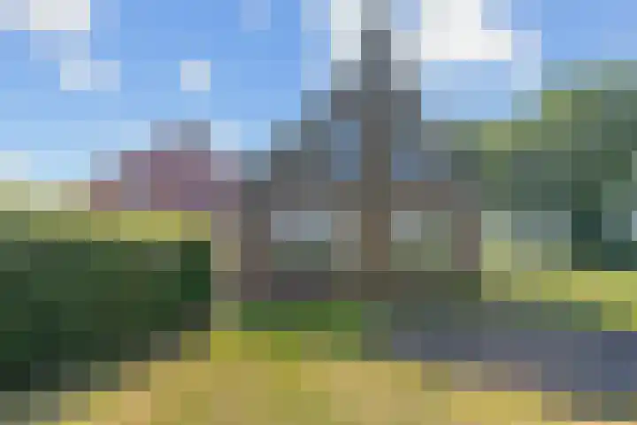 Wielwei 13 Doniaga thumbnail 60