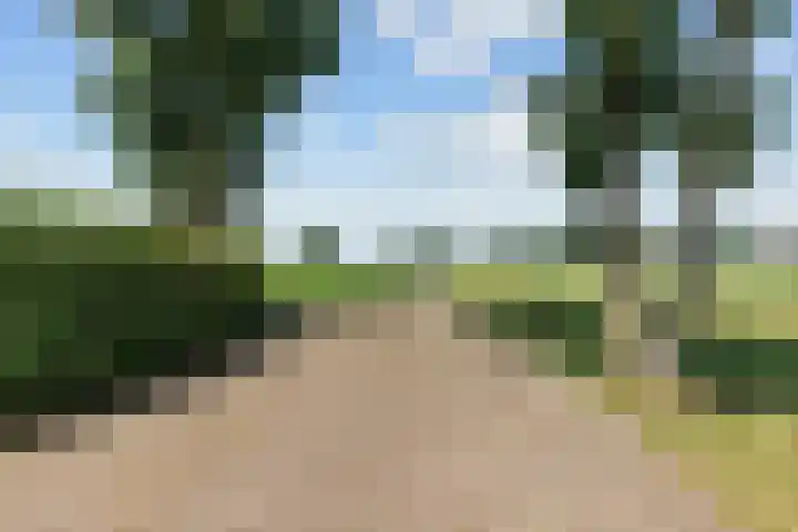 Wielwei 13 Doniaga thumbnail 62