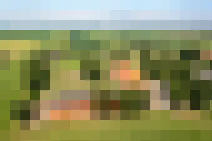 Wielwei 13 Doniaga thumbnail 63