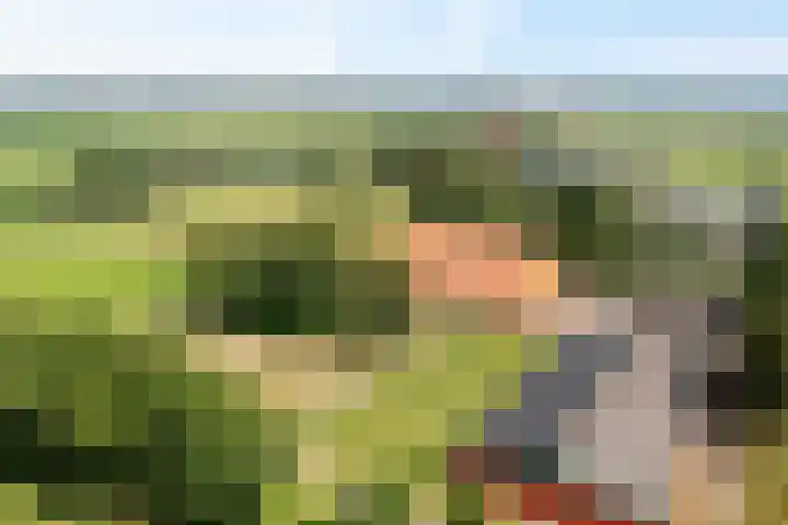 Wielwei 13 Doniaga thumbnail 65