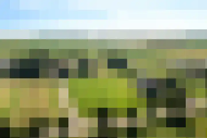 Wielwei 13 Doniaga thumbnail 66