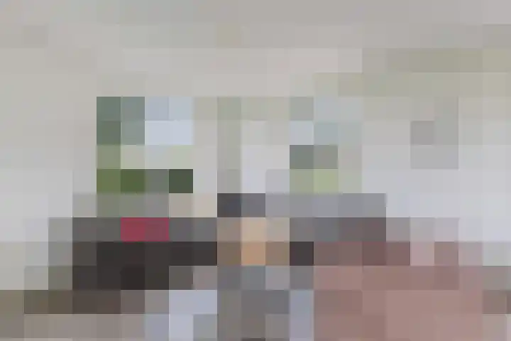 Wielwei 13 Doniaga thumbnail 7