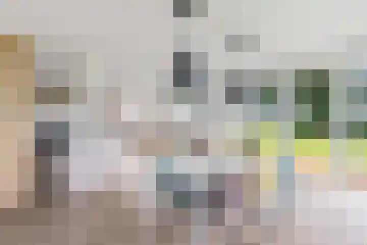 Wielwei 13 Doniaga thumbnail 8