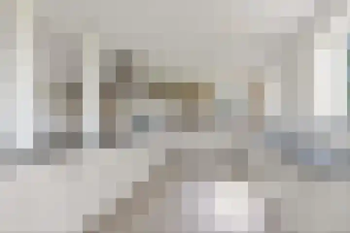 Wielwei 13 Doniaga thumbnail 9