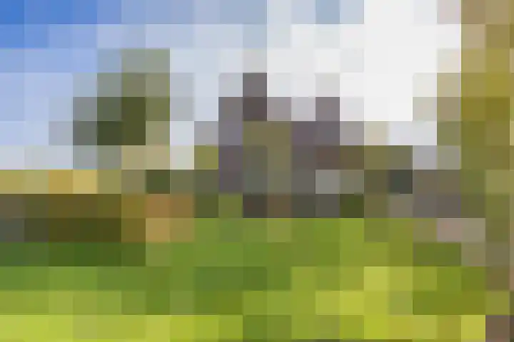 Wielwei 15 Doniaga thumbnail 10