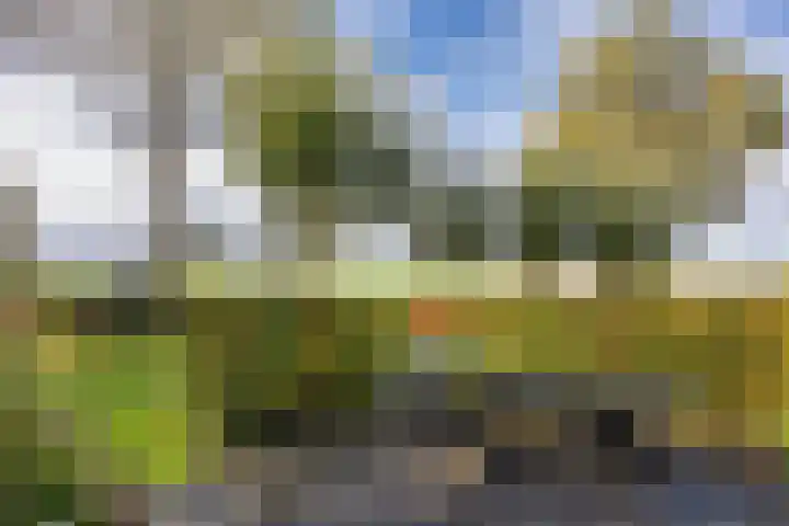 Wielwei 15 Doniaga thumbnail 11