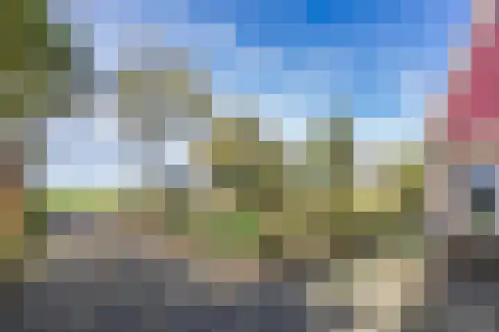 Wielwei 15 Doniaga thumbnail 12