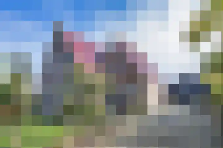 Wielwei 15 Doniaga thumbnail 14