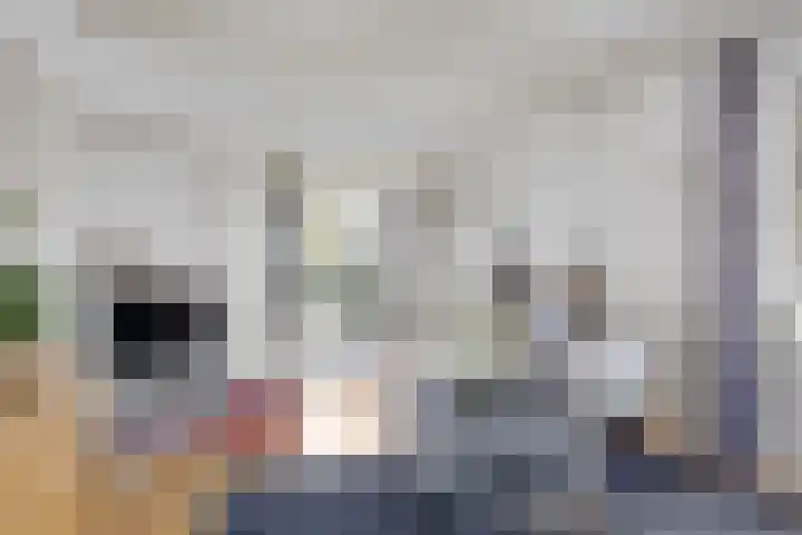 Wielwei 15 Doniaga thumbnail 19