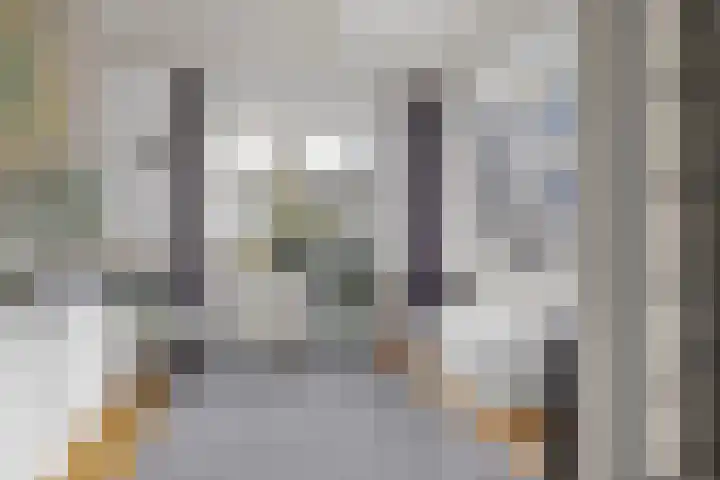 Wielwei 15 Doniaga thumbnail 22