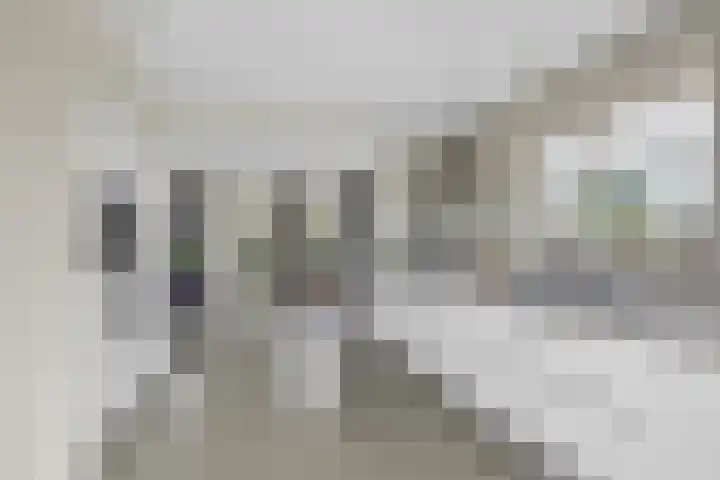 Wielwei 15 Doniaga thumbnail 25