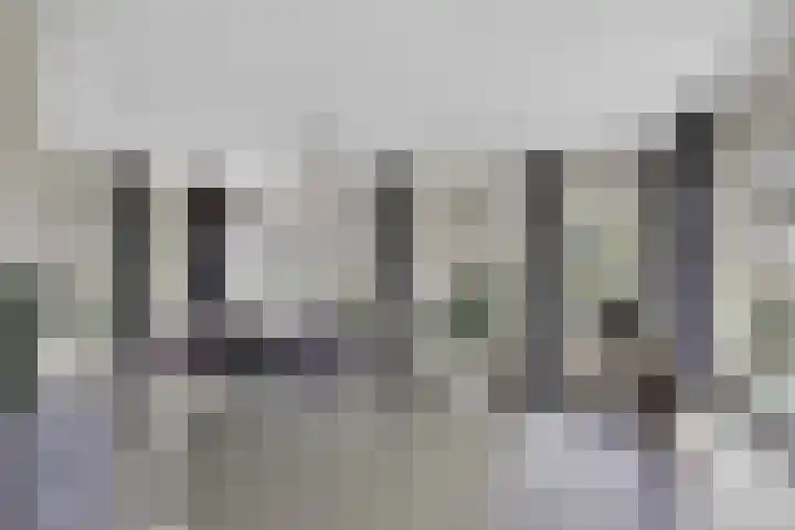 Wielwei 15 Doniaga thumbnail 26