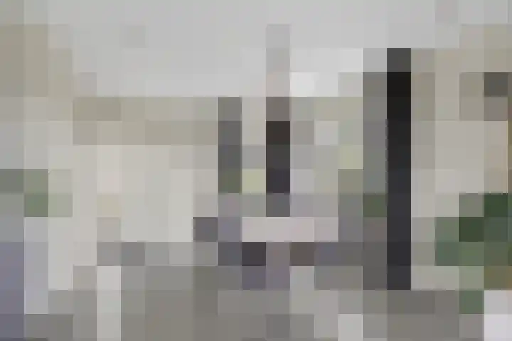 Wielwei 15 Doniaga thumbnail 27
