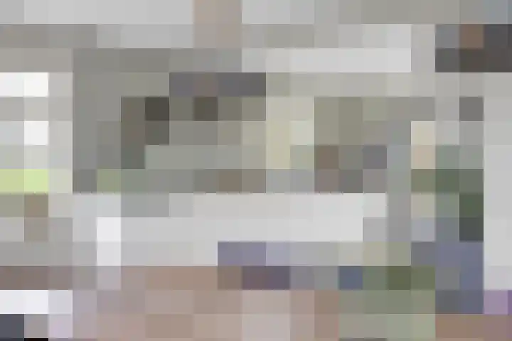 Wielwei 15 Doniaga thumbnail 29