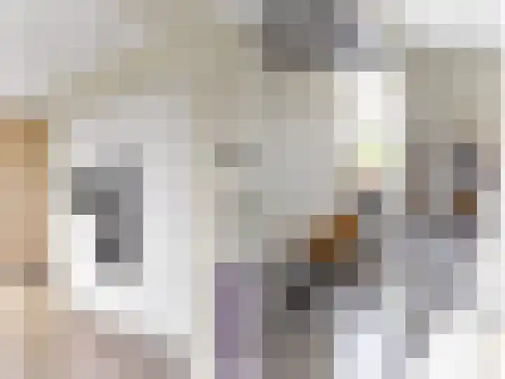 Wielwei 15 Doniaga thumbnail 31