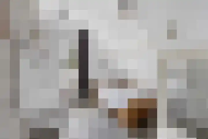 Wielwei 15 Doniaga thumbnail 35