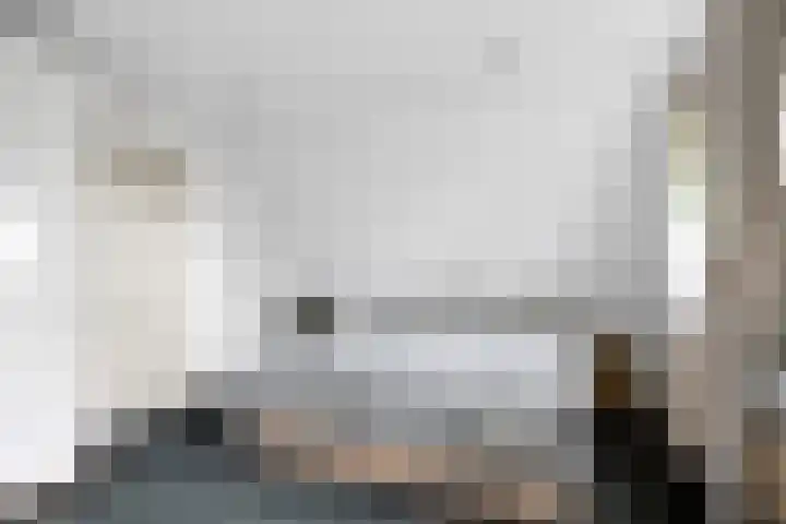 Wielwei 15 Doniaga thumbnail 38