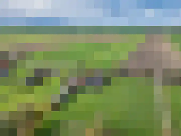 Wielwei 15 Doniaga thumbnail 4