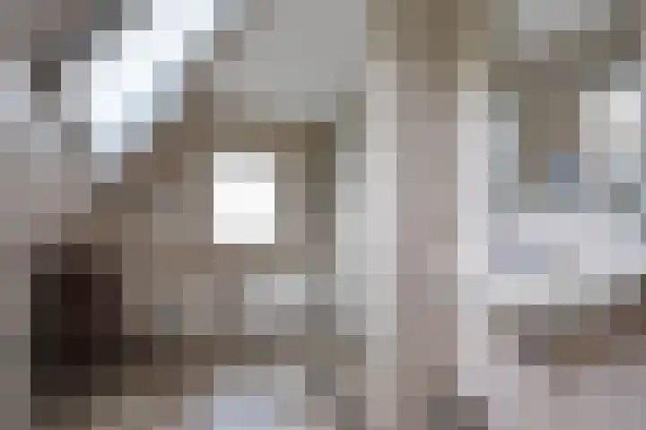 Wielwei 15 Doniaga thumbnail 40