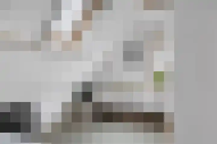 Wielwei 15 Doniaga thumbnail 41