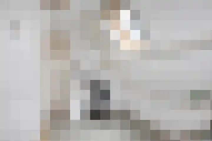 Wielwei 15 Doniaga thumbnail 42