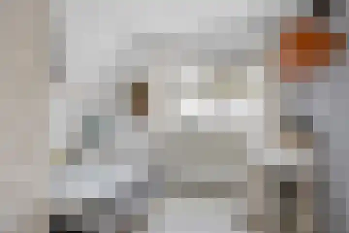 Wielwei 15 Doniaga thumbnail 43