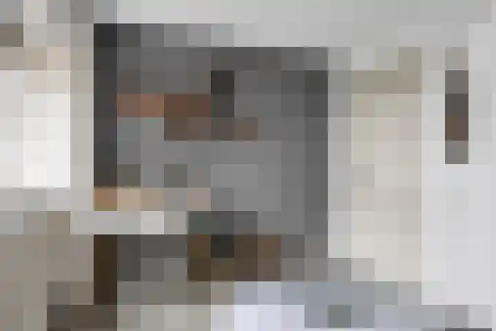Wielwei 15 Doniaga thumbnail 44