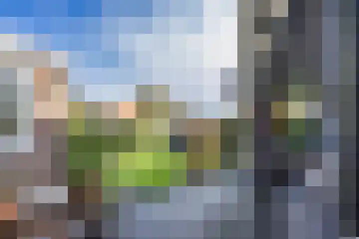 Wielwei 15 Doniaga thumbnail 45