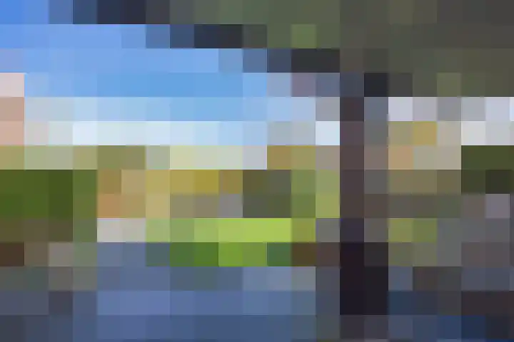 Wielwei 15 Doniaga thumbnail 46