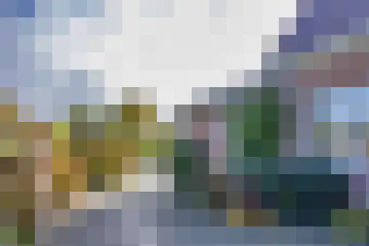 Wielwei 15 Doniaga thumbnail 48