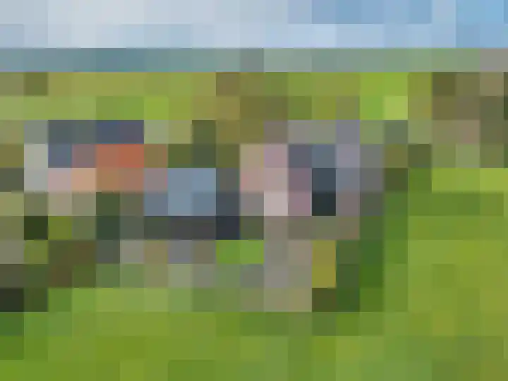 Wielwei 15 Doniaga thumbnail 5