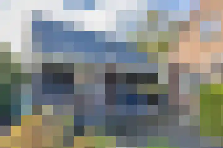 Wielwei 15 Doniaga thumbnail 50