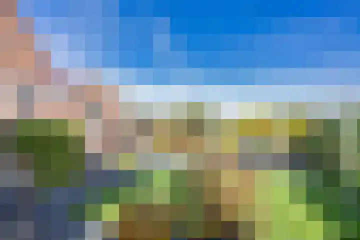 Wielwei 15 Doniaga thumbnail 51