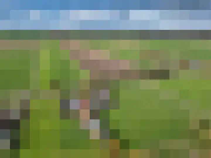 Wielwei 15 Doniaga thumbnail 55