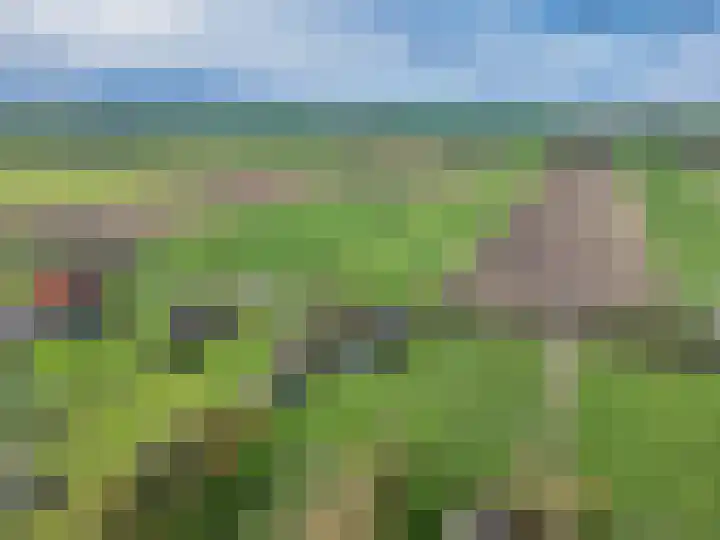Wielwei 15 Doniaga thumbnail 56