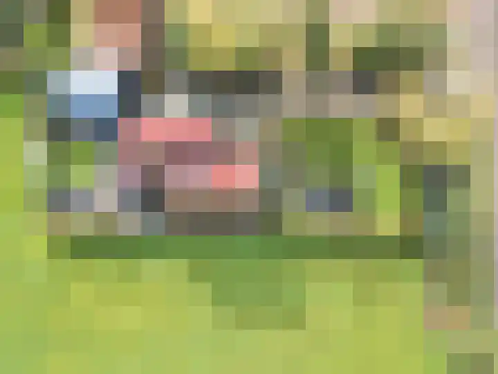 Wielwei 15 Doniaga thumbnail 57