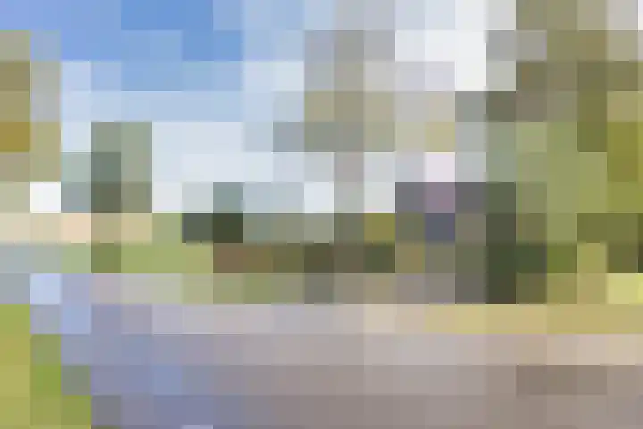 Wielwei 15 Doniaga thumbnail 59