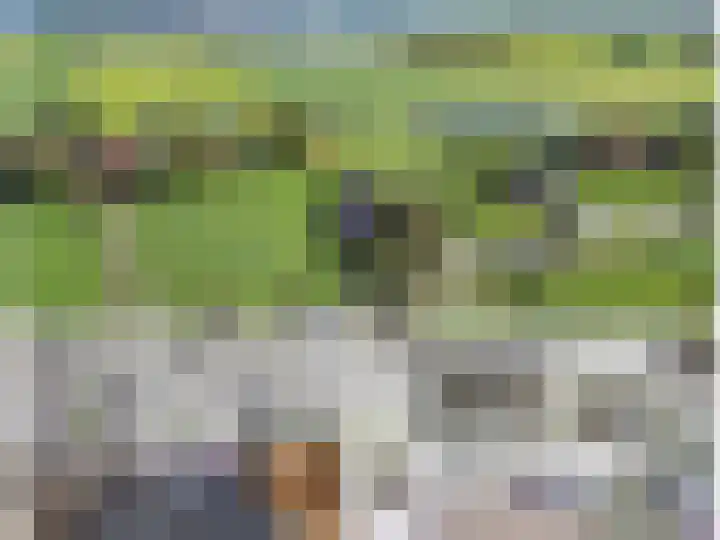Wielwei 15 Doniaga thumbnail 6