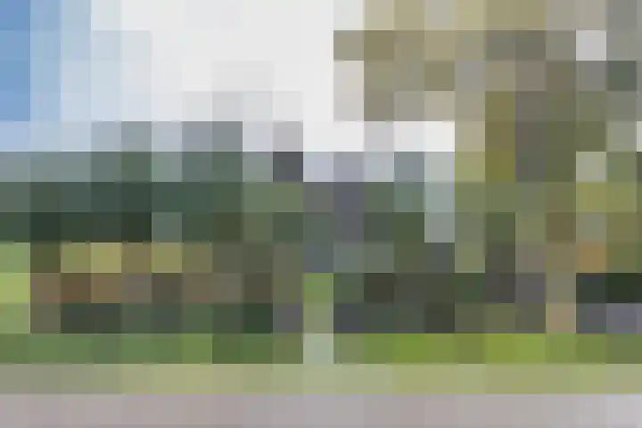 Wielwei 15 Doniaga thumbnail 8