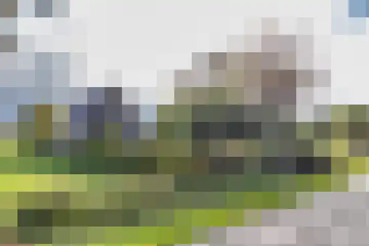 Wielwei 15 Doniaga thumbnail 9