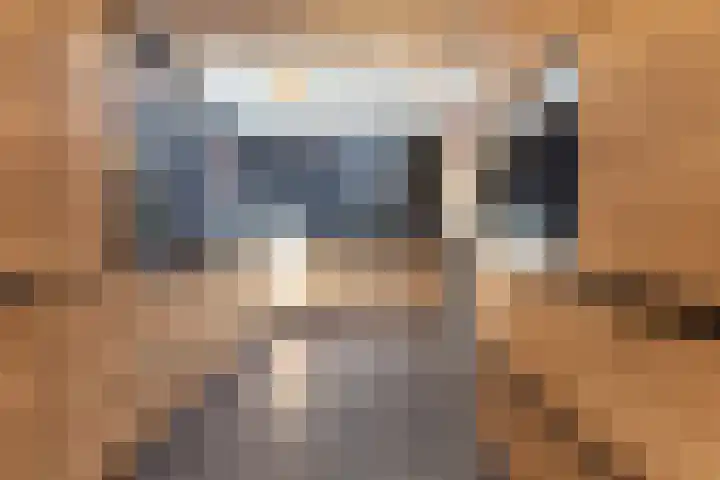 Wiemanstraat 11 Emst thumbnail 20