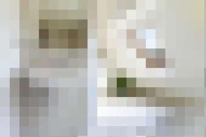 Wiemanstraat 11 Emst thumbnail 35