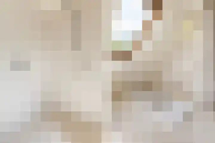 Wiemanstraat 11 Emst thumbnail 36