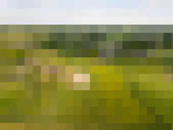 Wiemanstraat 11 Emst thumbnail 48