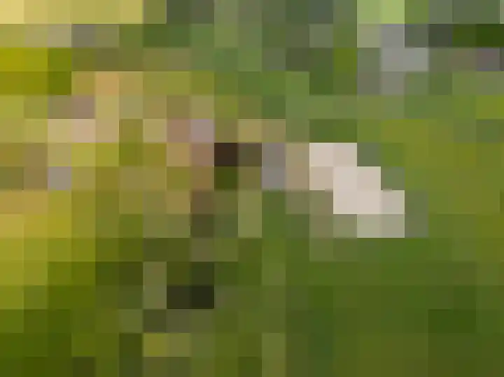 Wiemanstraat 11 Emst thumbnail 50