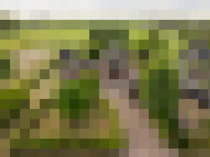 Wiemanstraat 11 Emst thumbnail 51