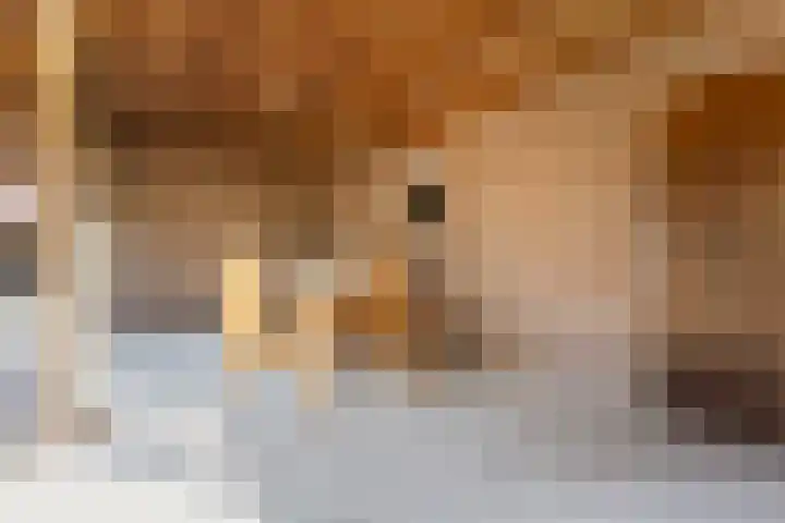 Wiemanstraat 11 Emst thumbnail 56